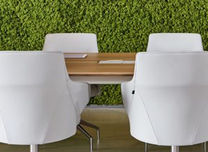 White faux leather office side chairs with long wooden top conference table and moss indoor plant wall