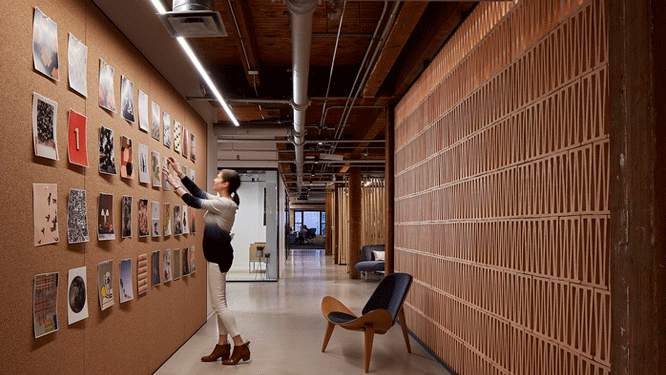 Woman using cork wall to display photos in an open, hallway style work space with blue, wooden lounge chair.