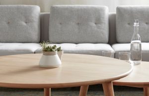 Low profile round wooden coffee tables and side tables with nearby grey couch, potted plants, and glass water bottle