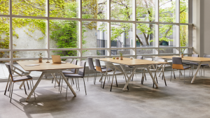 Office cafe space with large picture windows, wooden tables, and variety of side chairs