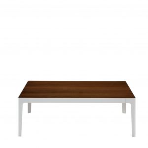 Low wooden-top coffee table with painted white legs and base