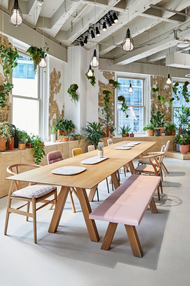 Large wooden conference table with padded bench and different style conference chairs, in a nature inspired room with potted and hanging plants and hanging industrial style light bulbs.