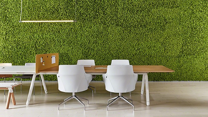 Brown meeting table with white office chairs and a wall with grass backdrop.