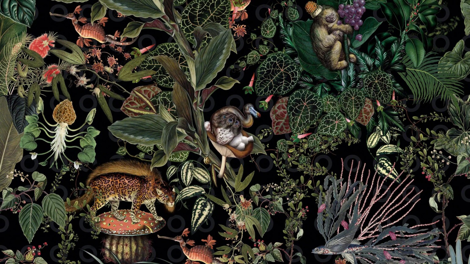 Decorative botanical illustration