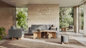 Bright modern living room with gray seating, wooden coffee tables, large windows, and greenery.