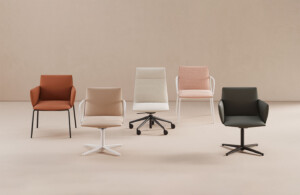 Set of Noha chairs arranged against a beige background