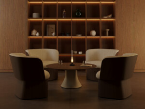 Manto chair in a lounge environment